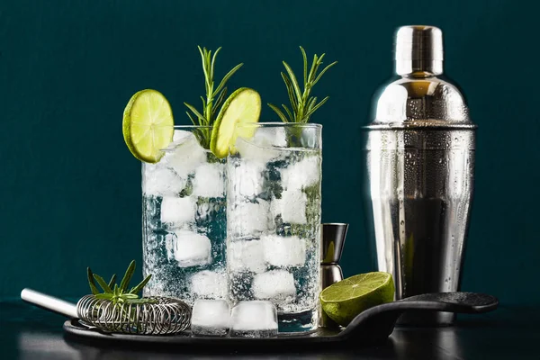 Classic gin and tonic cocktail with rosemary sprigs in tall glas — Stock Photo, Image