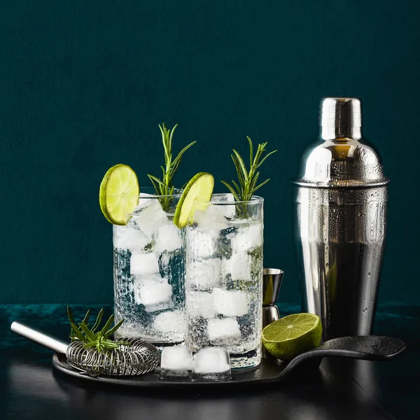 Cóctel clásico de gin tonic con ramitas de romero en vidrio alto — Foto de Stock