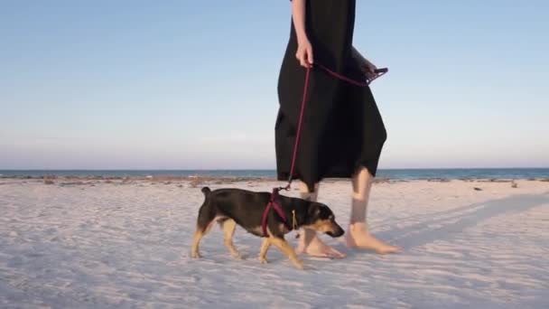 Dívka se psem chodí po pláži blízko moře v pomalém pohybu. — Stock video
