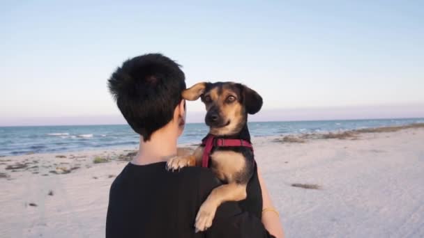 Flickan bär sin hund, promenader längs stranden nära havet i slow motion. — Stockvideo