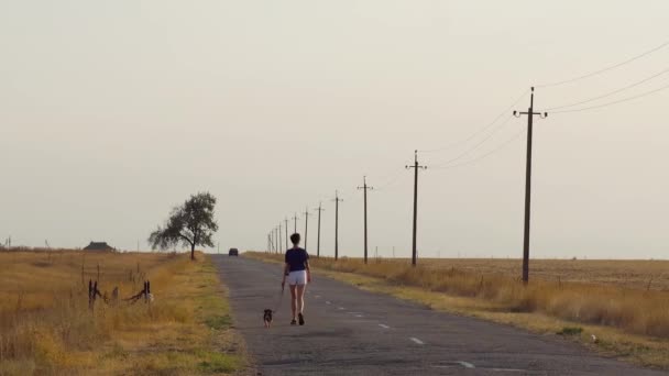 Giovane ragazza con il suo cane che cammina lungo la strada in campagna . — Video Stock