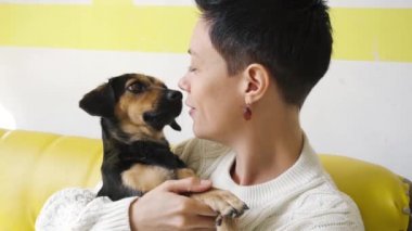 Köpek yalayan kadın yüzü. Sevimli köpek yavrusu sarılma kız. Yavaş çekim.