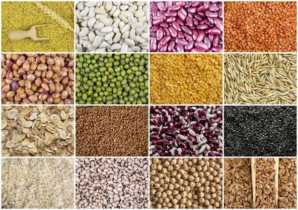 Kurutulmuş gıdalar; karışık baklagiller