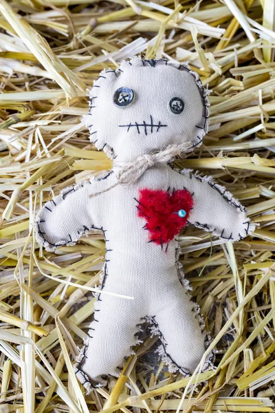 voodoo doll with needle on the straw