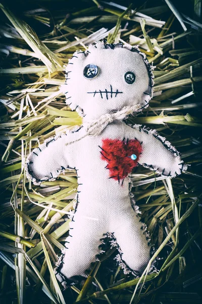 voodoo doll with needle on the straw