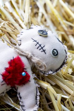 voodoo doll with needle on the straw