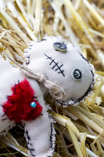 voodoo doll with needle on the straw