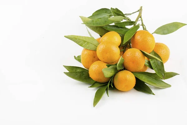 Mandarinas Frescas Maduras Con Hojas Sobre Fondo Blanco — Foto de Stock