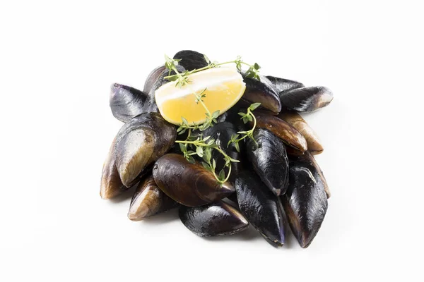 Fyllda Musslor Midye Dolma Medelhavsmat — Stockfoto