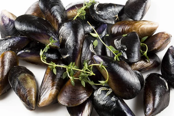 doldurulmuş midye, midye dolma Akdeniz mutfağı