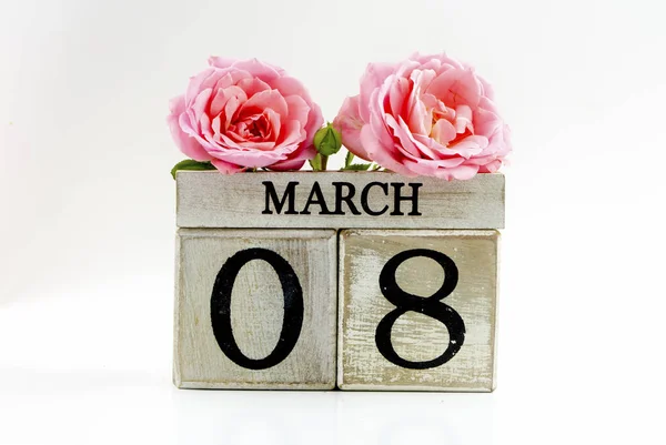 Pink Rose Flowers White Background Women Day Concept — 图库照片