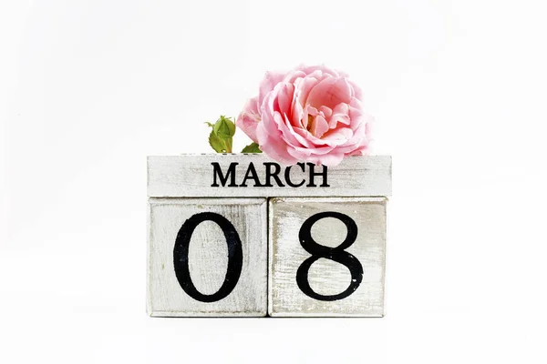 Pink Rose Flower White Background Women Day Concept — Foto Stock