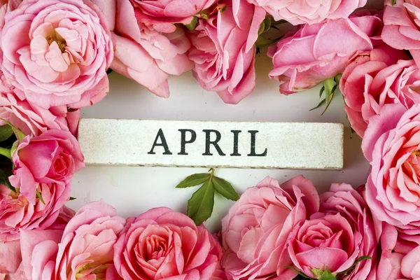 Beautiful Pink Roses Lettering April — Stockfoto
