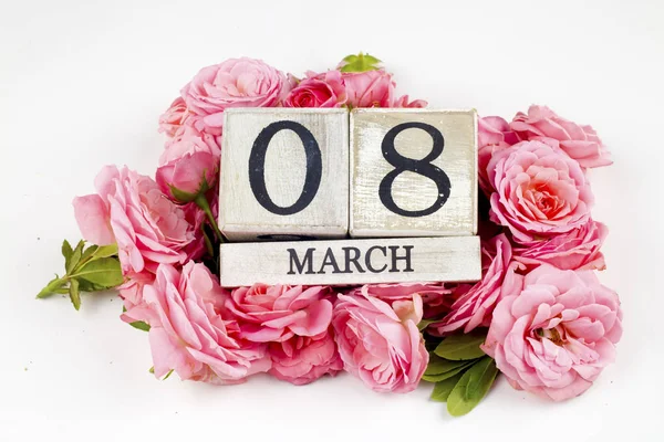Pink Rose Flowers White Background Women Day Concept — 스톡 사진
