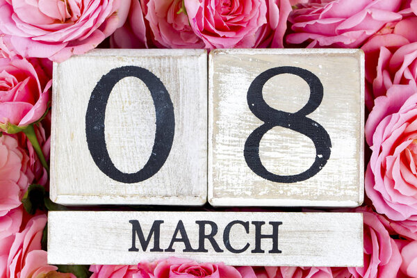 розовые цветы розы на белом фоне, концепция женского дня