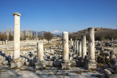 Türkiye Aphrodisias antik kenti