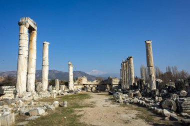 Türkiye Aydın Karacasu Aphrodisias antik kenti