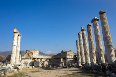 Türkiye Aydın Karacasu Aphrodisias antik kenti