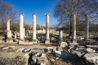 Türkiye Aydın Karacasu Aphrodisias antik kenti