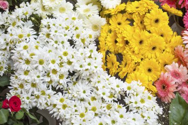 Renkli çiçek pazarı