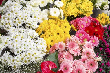 Renkli çiçek pazarı