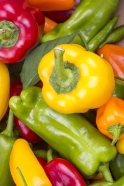 Renkli biber sebze backgronud