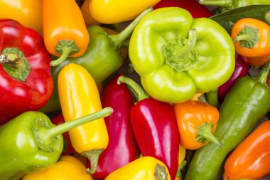 Renkli biber sebze backgronud
