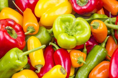 Renkli biber sebze arka plan