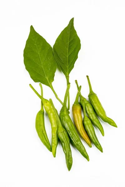 Pimentos Coloridos Legumes Backgronud — Fotografia de Stock