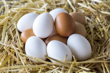 Tavuk çiğ yumurta, yemek