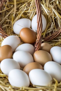 Tavuk çiğ yumurta, yemek