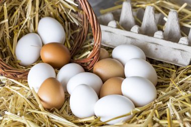 Tavuk çiğ yumurta, yemek