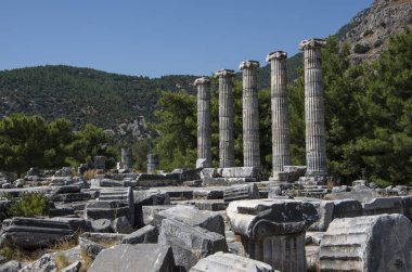 Antik ephesus şehrinin kalıntıları, hindi.