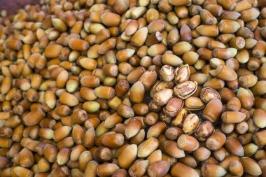 Piyasada bir yığın fındık