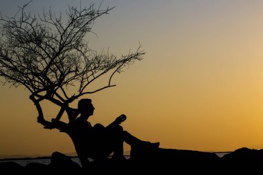 Günbatımının arka planında gitarlı bir adamın silueti.