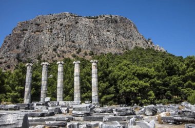 Ephesus şehrinin eski kalıntıları, hindi.