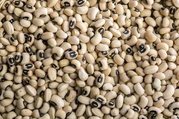 Close Pile Raw Beans — Stock fotografie