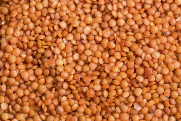 Close Raw Lentils Background — ストック写真