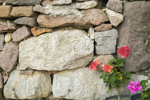 Каменная Стена Красными Цветами — стоковое фото