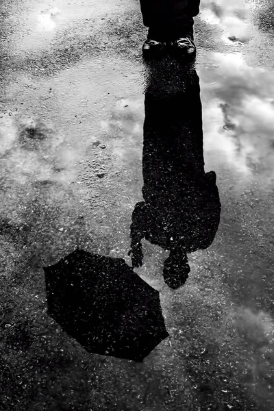 Reflection Man Umbrella Puddle Stock Picture