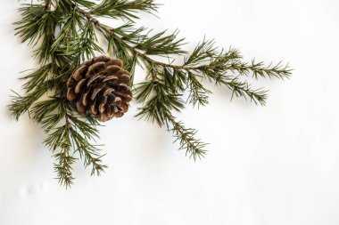 christmas background with fir branches and cone