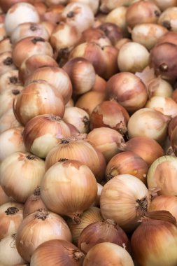 close up of onions in the market