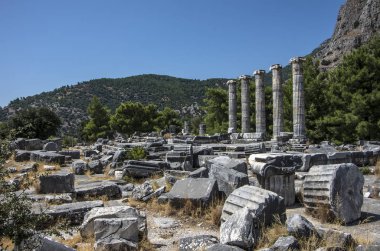 Ephesus şehrinin eski kalıntıları, hindi.