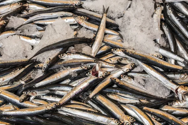 Poisson Frais Sur Marché — Photo