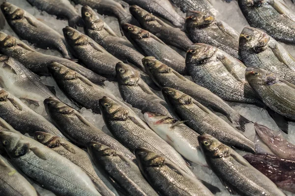 Poisson Frais Avec Glace Sur Marché — Photo