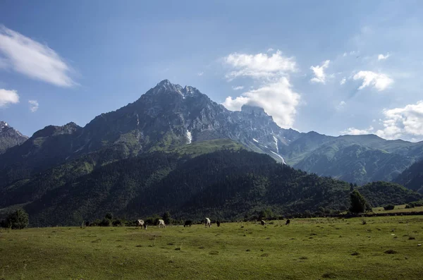 Hermoso Paisaje Con Una Cordillera —  Fotos de Stock