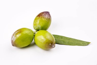 Beyaz arka planda yeşil taze zeytin