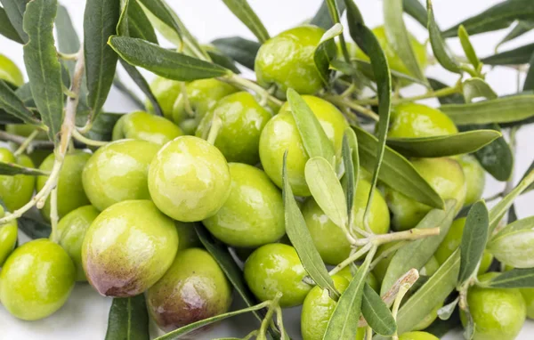 Grüne Frische Olive Auf Weißem Hintergrund — Stockfoto