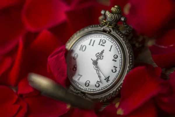 Rosa Roja Reloj Bolsillo Tiempo Fondo —  Fotos de Stock