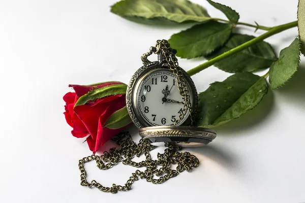 Rosa Roja Reloj Bolsillo Tiempo Fondo —  Fotos de Stock